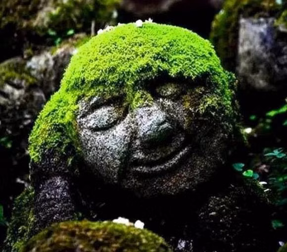 Bon dau hieu chinh cua mot nguoi 