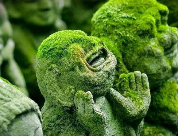 Bốn dấu hiệu chính của một người "sắp xảy ra tai hoạ" - Hình 4 Bon dau hieu chinh cua mot nguoi