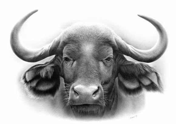 Tuổi Sửu. Tuổi Sửu cũng là một trong những cái tên góp mặt trong danh sách các con giáp xui xẻo cuối tuần này (16/7 - 17/7) khi mọi thứ tưởng chừng như đen đủi nhất đều đổ ập xuống đầu bạn.