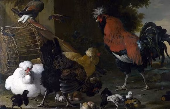 Tuổi Dậu. Do hung vận tác động, cuối tuần này không phải là thời điểm may mắn của tuổi Dậu. Vận trình sự nghiệp của bản mệnh có dấu hiệu sa sút ngoài tầm kiểm soát.