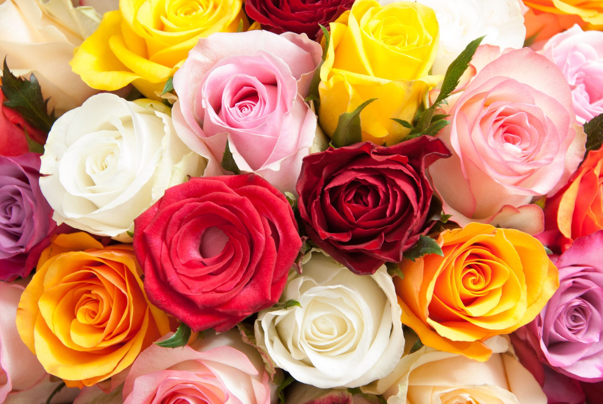 Tre sinh vao 4 khung gio Am lich nay, giau y chi vuon len lai het muc hieu thao-Hinh-3