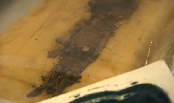 Ven man bi an lang mo day ap vang bac cua vua Tutankhamun-Hinh-2