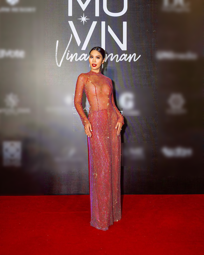 Ha Anh lai vuong bao chi trich hau Miss Universe Vietnam-Hinh-2