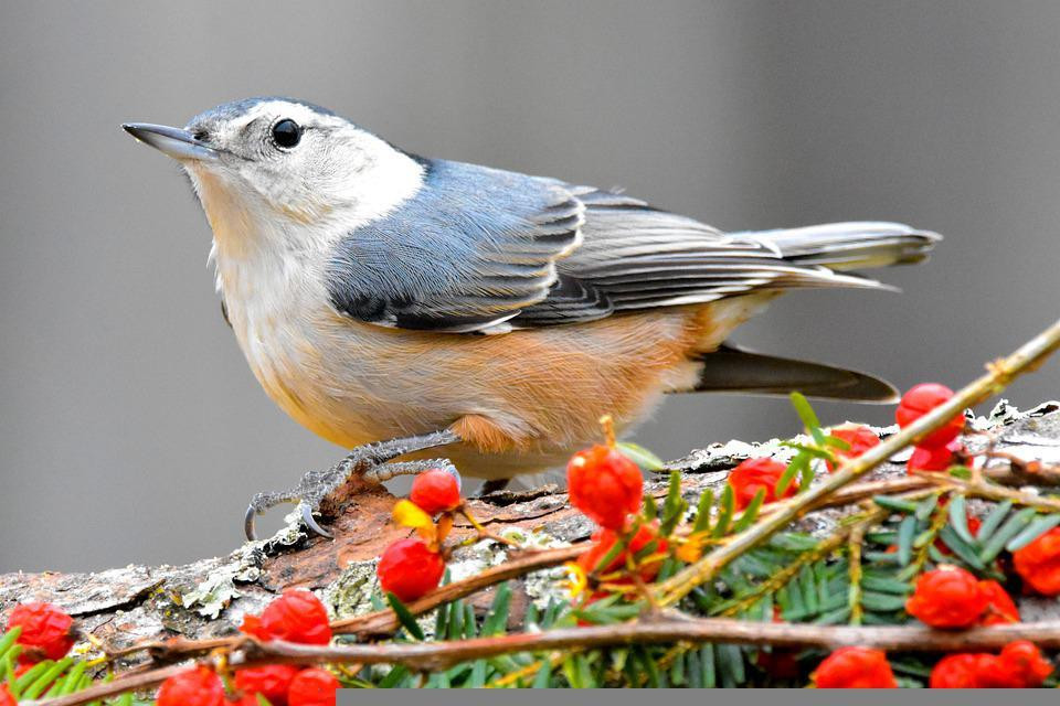Phu nu sinh thang Am lich nay vuong phu ich tu, con chau sum vay