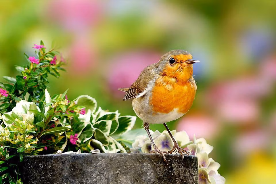 Phu nu sinh thang Am lich nay vuong phu ich tu, con chau sum vay-Hinh-2