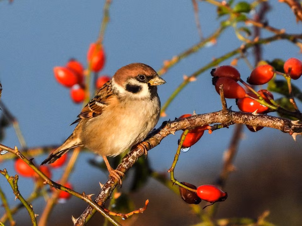 Phu nu sinh thang Am lich nay vuong phu ich tu, con chau sum vay-Hinh-3