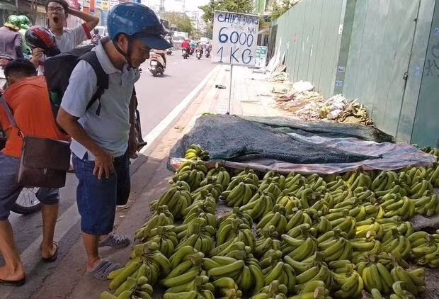 Loai qua re tien co the chong lai 