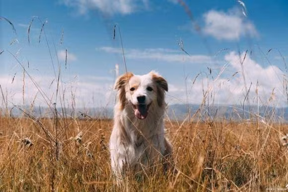 Cho thuong nam co chan truoc, chong mong len troi... dang the hien gi?-Hinh-5