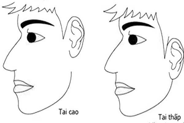 Từ khi đi học tới lúc đi làm, người này luôn đạt thành tích đáng nể, được nhiều người xung quanh ngưỡng mộ. Họ có tướng làm lãnh đạo hoặc trở thành chuyên gia, học giả... Thành công của người này đến từ sự nỗ lực, cố gắng của chính bản thân. Do đó, đa phần những người này có tính cách hơi cao ngạo và trong lòng có chút mẫn cảm. 