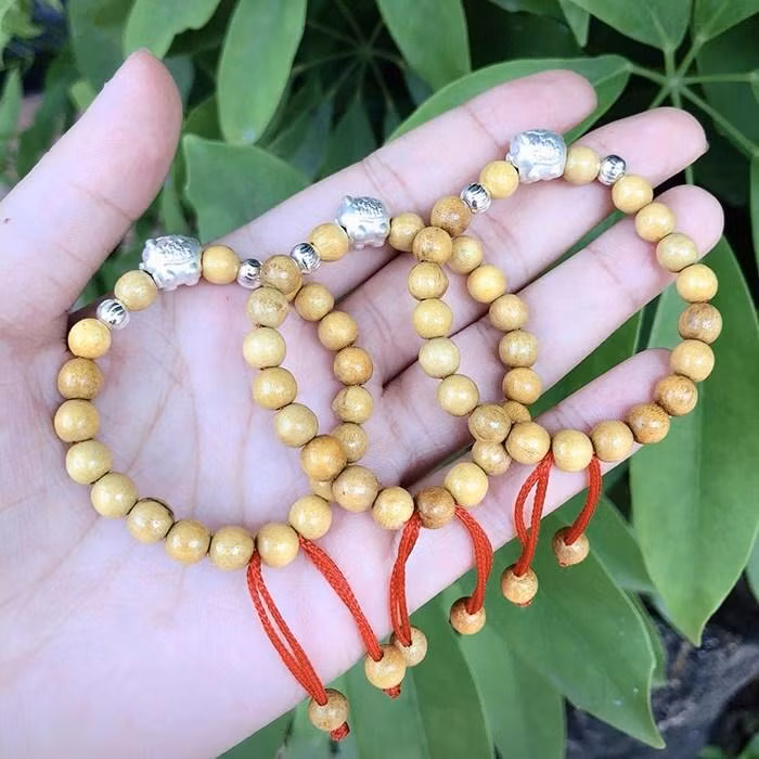 7 thu mang theo hoa giai van xui khi buoc ra duong thang Co hon-Hinh-2