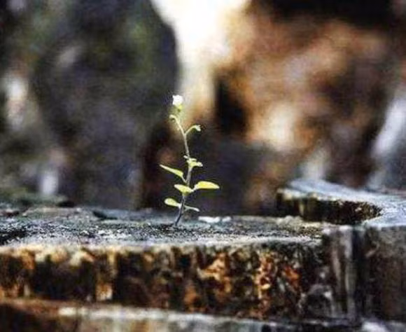 Khi gap chuyen xui xeo phai tranh xa 3 nguoi nay