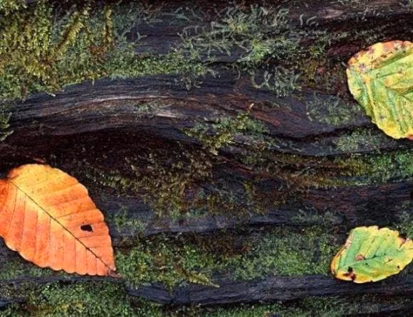 Khi gap chuyen xui xeo phai tranh xa 3 nguoi nay-Hinh-3