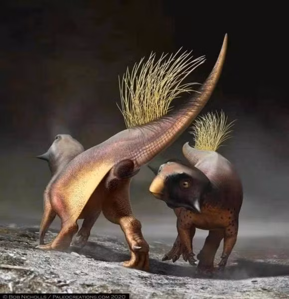 Co quan giao phoi cua khung long la gi?-Hinh-6