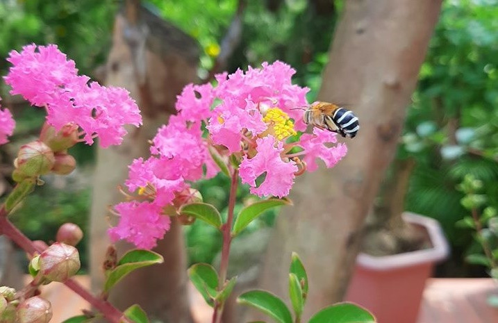 Bí quyết để hôn nhân hạnh phúc là vợ "mù" chồng "điếc" ảnh 1