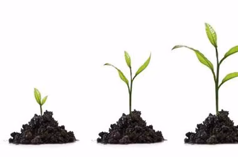 Bạn có thể đạt được một vị trí cao trong công việc. Mặc dù gặp nhiều khó khăn trong công việc nhưng nhờ trí thông minh, cách xử lý các mối quan hệ tốt, người sinh ngày này sẽ vượt qua được các cửa ải khó khăn trong công việc lẫn cuộc sống.