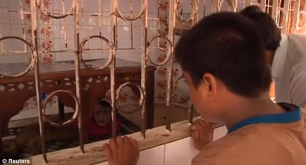 He lo sinh vat mat nguoi, than cao khet tieng-Hinh-2