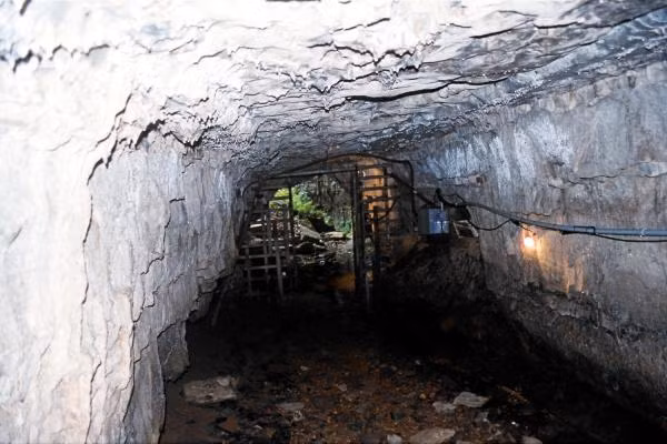 Theo lời kể của mọi người sống ở bang Tennessee, phù thủy Kate vô cùng thông minh, có khả năng ở hai địa điểm cùng lúc, biết dự đoán tương lai... Đến ngày 20/12/1820, ông John qua đời và người ta cho rằng ông đã bị đầu độc.