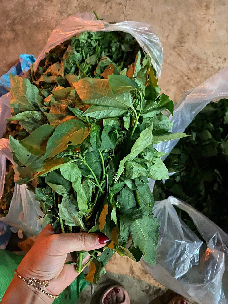 Trên chợ mạng hay một số chợ truyền thống, rau tầm bóp được bán với giá 60.000-85.000 đồng/kg.