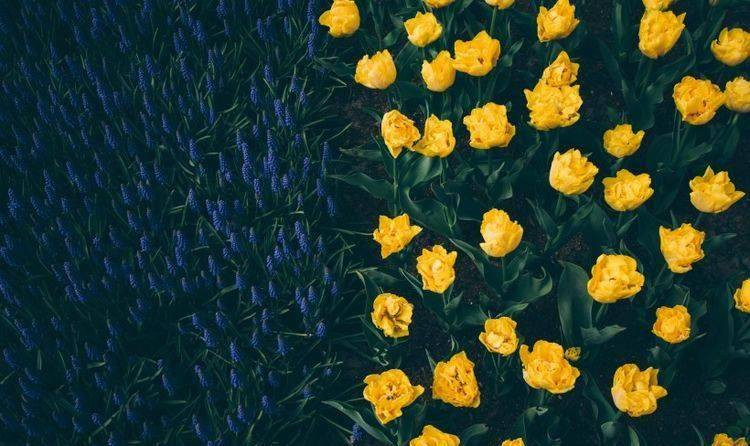 Sinh vao 4 ngay Am lich nay, thong minh, tuong lai tuoi sang-Hinh-3