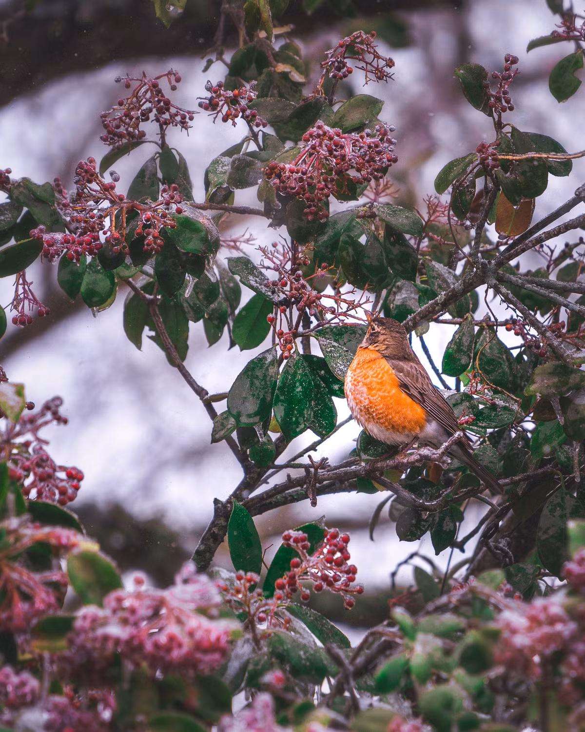 Cuoi nam 2022, 4 con giap don mung van may, kiem tien thuan tay-Hinh-4