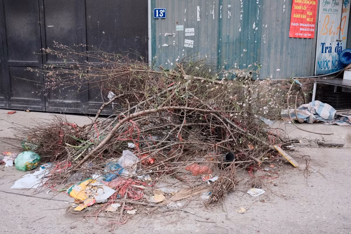 Tiểu thương không đủ sức để bán lại sau Tết, nhiều cành đào lỗ nằm chỏng chơ ngoài bãi rác.