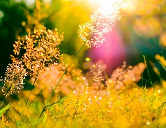 Anh em ruot co tot den dau van can giau kin 3 bi mat