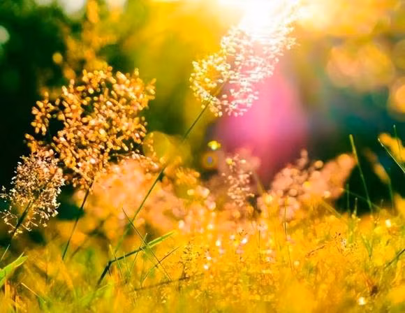 Anh em ruot co tot den dau van can giau kin 3 bi mat