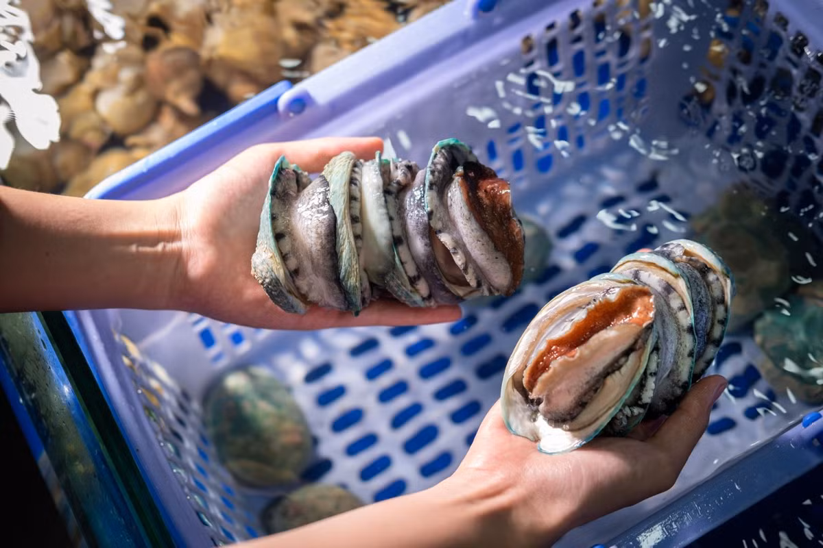 Bao ngu Bich Ho ha nhiet, giam gia manh-Hinh-5