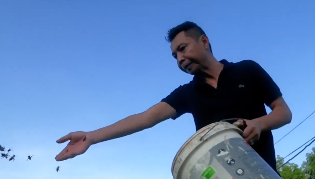 Thành đại gia bạc tỷ nhờ bắt cá rồng sinh sản - Hình 4 Thanh dai gia bac ty nho bat ca rong sinh san-Hinh-4