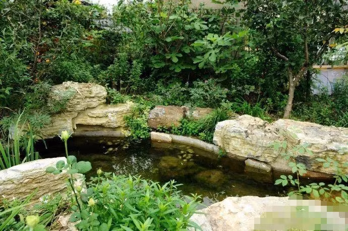 Cap vo chong 40 tuoi 'tron pho' ve que tao khu vuon than tien-Hinh-8