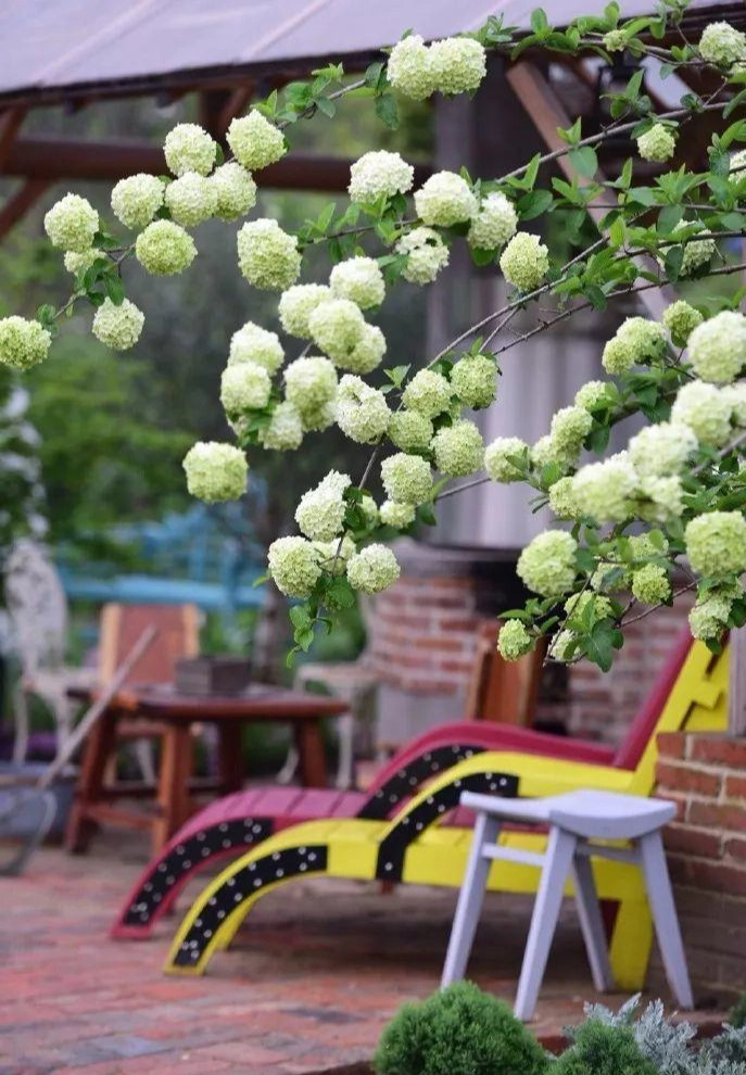 Cap vo chong 40 tuoi 'tron pho' ve que tao khu vuon than tien-Hinh-4