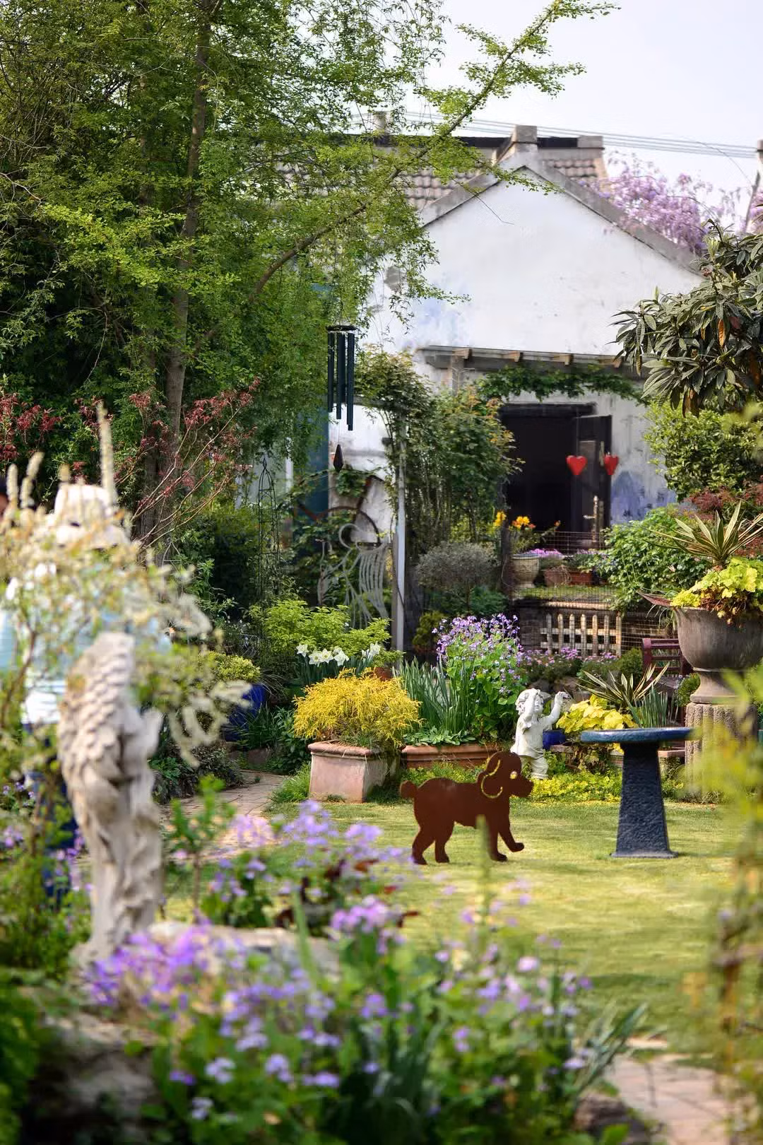 Cap vo chong 40 tuoi 'tron pho' ve que tao khu vuon than tien-Hinh-2