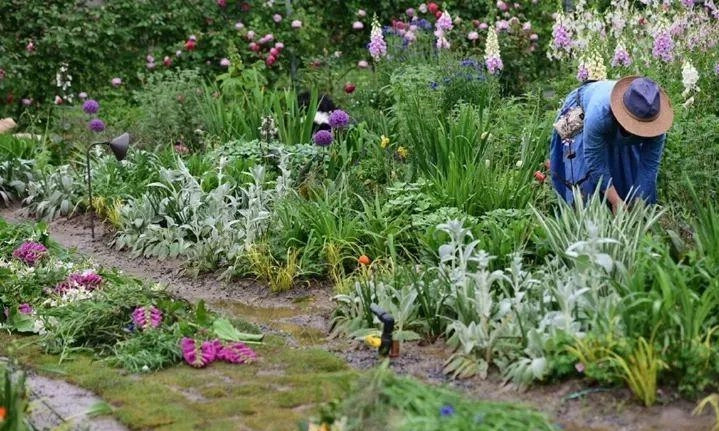 Cap vo chong 40 tuoi 'tron pho' ve que tao khu vuon than tien-Hinh-6