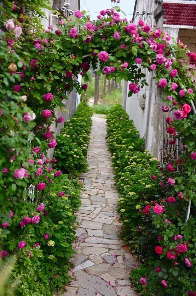 Cap vo chong 40 tuoi 'tron pho' ve que tao khu vuon than tien-Hinh-14