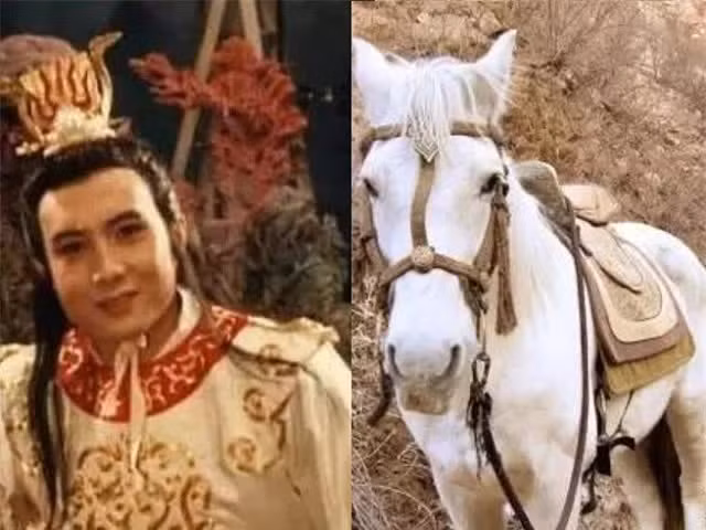 Vi sao Ton Ngo Khong bo qua Bach Long Ma khi chia qua nhan sam?-Hinh-3