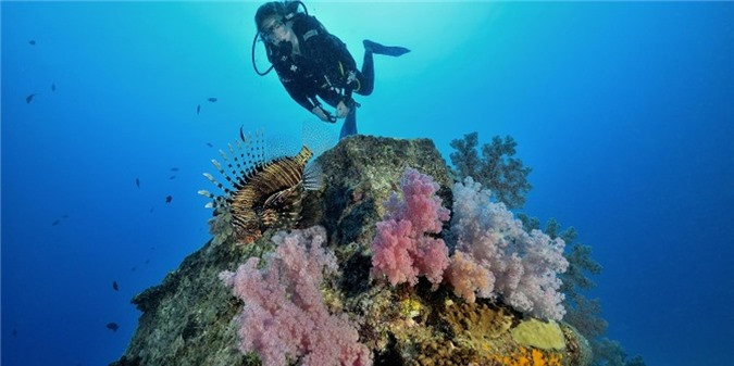 Đến đây, ngoài ngắm nhìn thác nước dưới lòng biển, du khách còn có nhiều trải nghiệm thú vị như lặn ngắm san hô, chèo thuyền kayak, ngắm cảnh bằng trực thăng, hay thưởng thức hải sản tươi ngon. Ảnh: Mauritius.