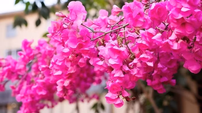 Ngày sinh Âm lịch kết thúc bằng 3 số này, hậu vận vượng lộc Ngay sinh Am lich ket thuc bang 3 so nay, hau van vuong loc