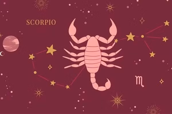 Trong công việc, quyết đoán và khả năng chịu áp lực giúp Bọ Cạp ghi điểm, dễ dàng nhận thưởng lớn hoặc thăng chức. Một số may mắn hơn còn có cơ hội hưởng lộc trời cho như nhận được khoản thừa kế bất ngờ... Lưu ý: Tránh tự tin thái quá dẫn đến đầu tư liều lĩnh, luôn đánh giá rủi ro và phân bổ vốn hợp lý.