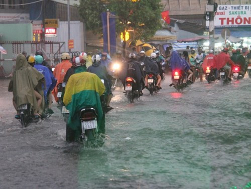 ... số khác bì bỡm lội nước để trở về nhà.