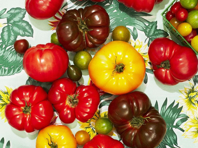 Những "đại kỵ" khi ăn cà chua không phải ai cũng biết Nhung