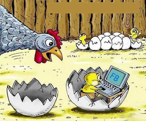 Nghiện Facebook... từ trong trứng nước.