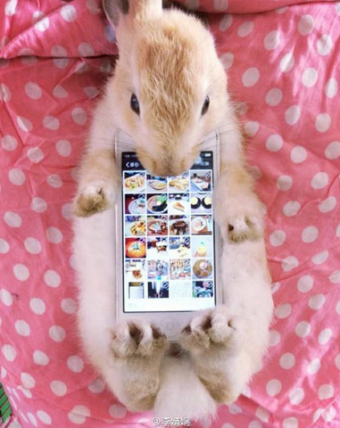 Xu hướng này cũng lây lan nhanh chóng từ Nhật Bản đến Trung Quốc, và một số nước châu Á khác. 