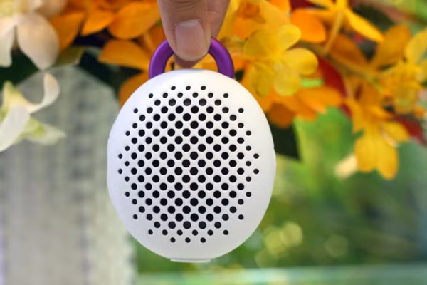 Tất nhiên cũng có thể xách nó lên như một chiếc làn đi chợ.