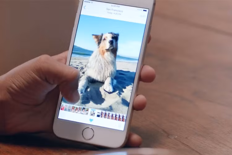  10. Khai tử Live Photos. Live Photos là một trong những tính năng thú vị nhất của iPhone 6s, nhưng chúng cũng chiếm nhiều dung lượng bộ nhớ hơn so với ảnh hưởng. Nếu như iPhone 6s bạn đang dùng chỉ có 16GB, hoặc bộ nhớ điện thoại sắp hết, bạn có thể vô hiệu hóa Live Photos bằng cách chạm vào biểu tượng hình tròn ở góc trên màn hình camera.
