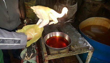 Cach tranh mua phai lon tao nac va ga vang o?