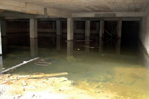 Khó có thể hình dung hàng trăm ngôi biệt thự trăm tỉ - niềm mơ ước của bao người lại là địa điểm lí tưởng để nuôi côn trùng hay ngâm gỗ mục.