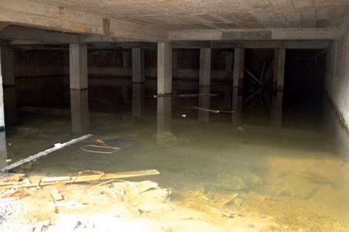 Khó có thể hình dung hàng trăm ngôi biệt thự trăm tỉ - niềm mơ ước của bao người lại là địa điểm lí tưởng để nuôi côn trùng hay ngâm gỗ mục.