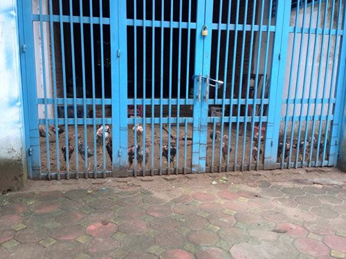 Các khu nhà dù hoàn thành cũng vắng bóng người ở. Thậm chí nhiều khu nhà đã từng rất có giá trị nay để cỏ mọc khắp nơi như một căn nhà hoang. Có khu lộ sự xuống cấp. Nhiều đoạn tường bị nứt, cửa kính vỡ, nền nhà sụt xuống... khu đô thị sang trọng càng vắng vẻ, nguội lạnh.