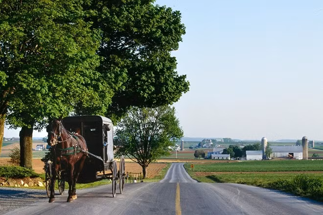  Sống một tuần với cộng đồng người Amish, Mỹ: Người Amish từ chối mọi tiện nghi của thế giới văn minh, sống nhờ chăn nuôi, trồng trọt như từ nhiều thế kỷ trước. Ở hạt Lancaster, bạn sẽ có cơ hội tận hưởng cuộc sống đơn giản, làm việc ngoài đồng và di chuyển bằng xe ngựa. Ảnh: Thisisamericafoundation.
