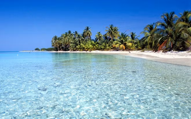  Sinh tồn trên một hòn đảo ở Belize: Nếu bạn nghĩ mình không thể sống sót nổi khi thiếu điện thoại,bạn nên đăng ký tour sinh tồn ở Belize để biết mình thực sự cần gì để sống. Trước khi thả bạn lên một hòn đảo vắng, một đội chuyên nghiệp sẽ huấn luyện và đảm bảo bạn có được những kỹ năng cần thiết như bắt cá, nhóm lửa. Họ sẽ giám sát chặt chẽ để không có chuyện gì nghiêm trọng xảy ra.Ảnh: Rough Guides.